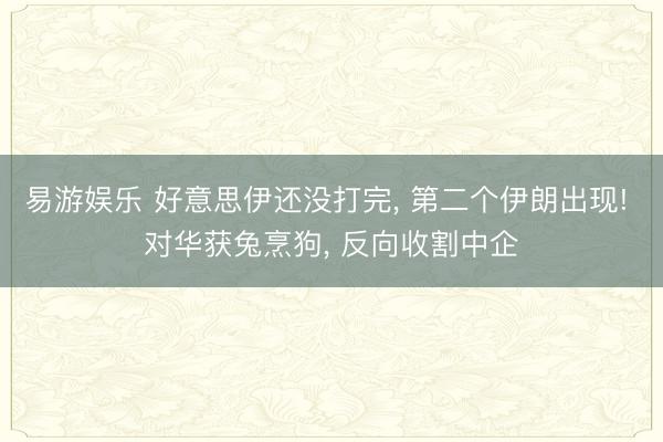 易游娱乐 好意思伊还没打完, 第二个伊朗出现! 对华获兔烹狗, 反向收割中企